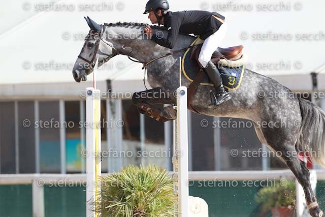 INSELVINI_SPRING_GIO CAV 2011_SS3_7449.jpg